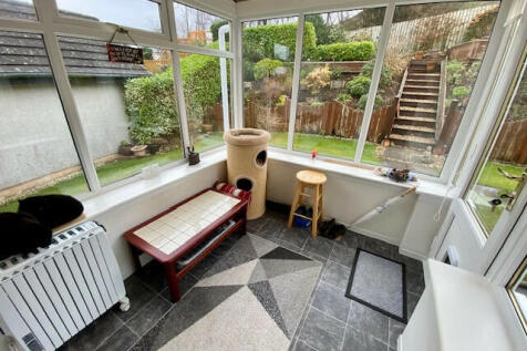 Back Garden
