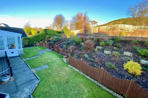 Back Garden
