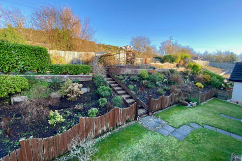 Back Garden