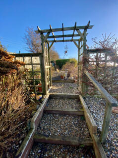 Back Garden