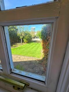 Back garden