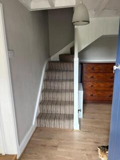 Entranceway and cat