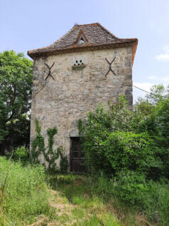 Property Image 19