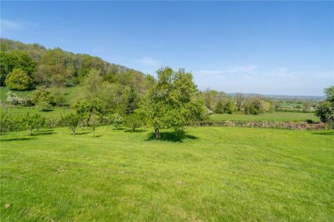 Orchard