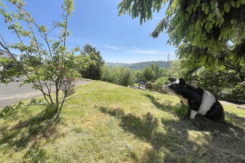 View1