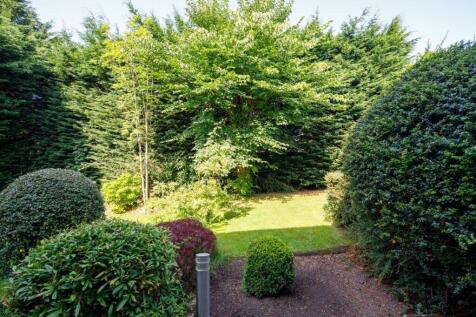 Property Image 26