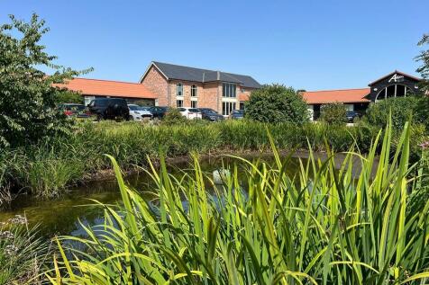 Pond Shot (2)