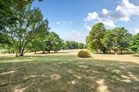 Grounds