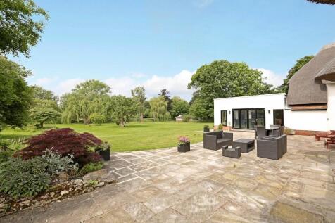 patio and garden