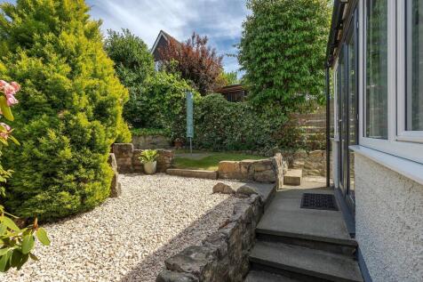 Back Garden