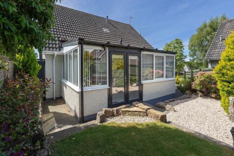 Back Garden
