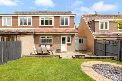 Back Garden
