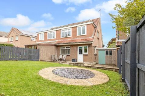 Back Garden