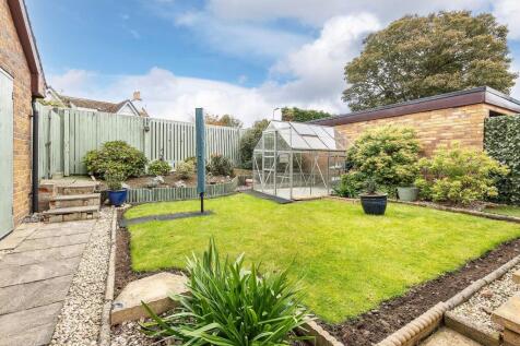 Back Garden