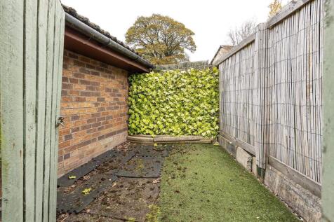 Back Garden