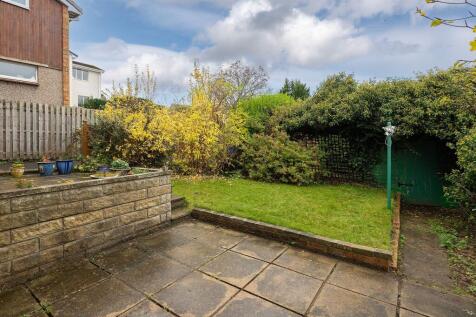 Back Garden