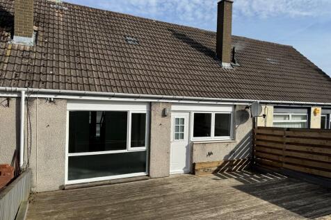 Back Garden 