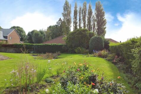 Rear Gardens