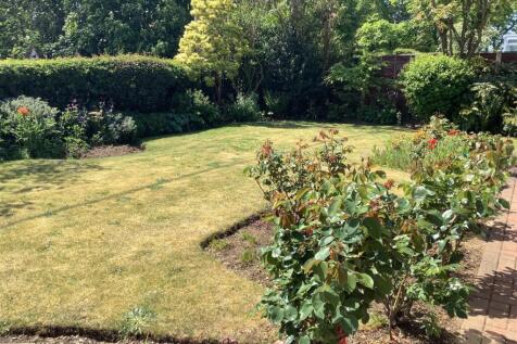 front garden.jpg