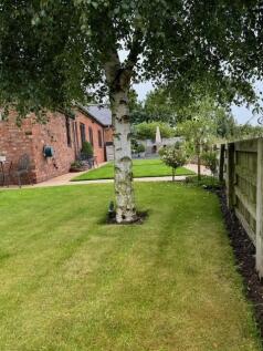 garden rear.jpg