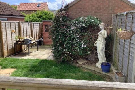 garden 2.jpg