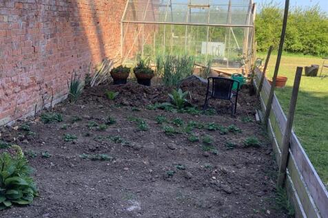 vegetable patch.jpg