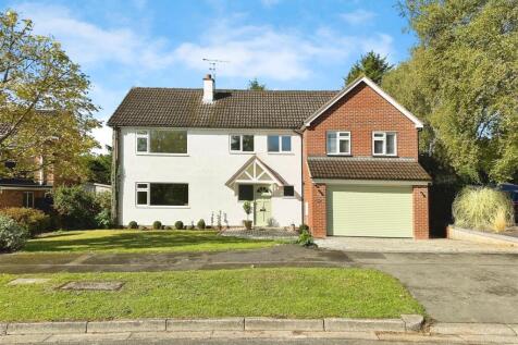 e85b6d7c--4A25-B2A4-9407AAAB38AC-12315-0000037B30F