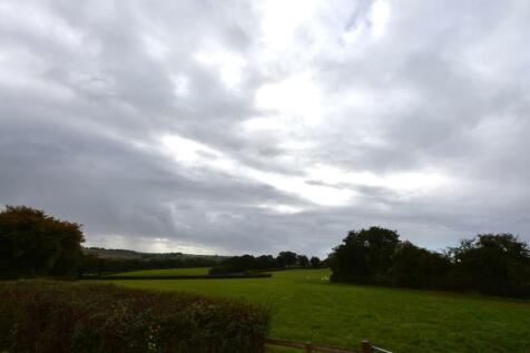DSC_0206.JPG