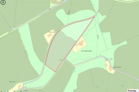 Promap-2812628-2915862-750-0.jpg