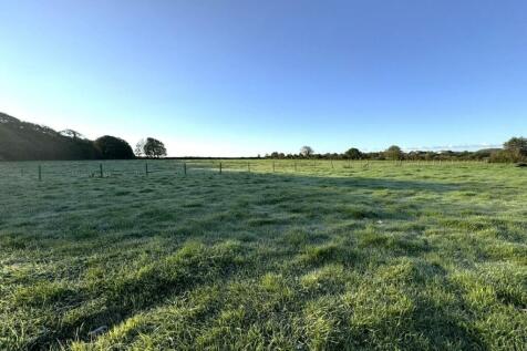 Field 2.JPEG