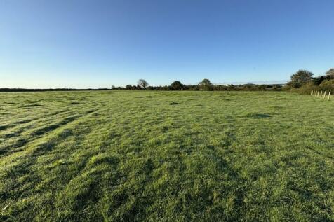 Field 4.JPEG