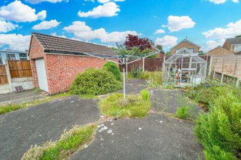 Back Garden
