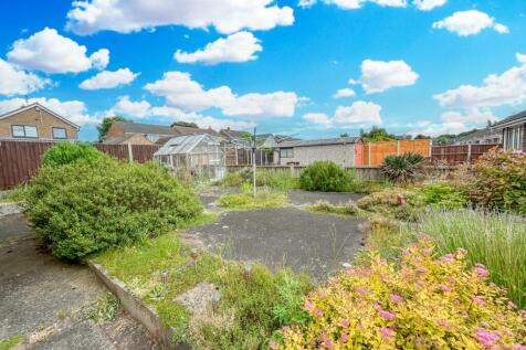 Back Garden