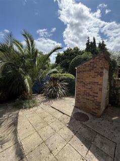 Back garden new.jpeg