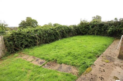 Back garden.JPG