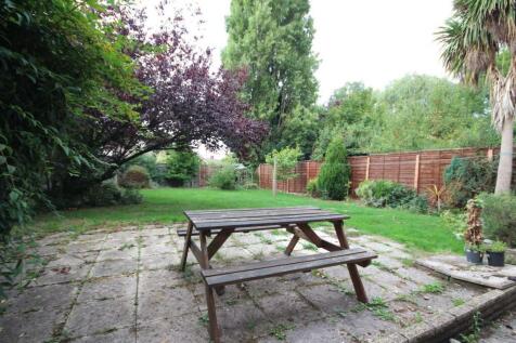 garden 2.jpg