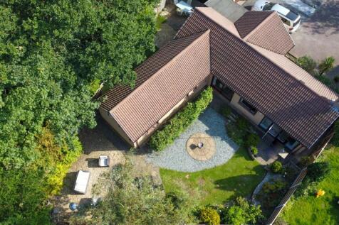 DJI_0171.jpg
