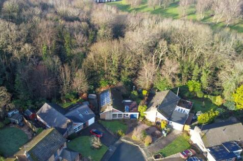 DJI_0009.jpg