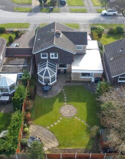 DJI_0052.jpg