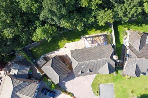 DJI_0151.jpg