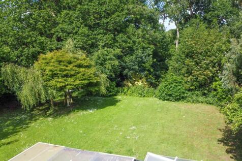 DJI_0231.jpg