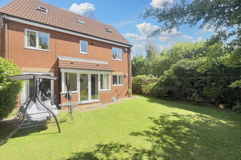 Property Image 20
