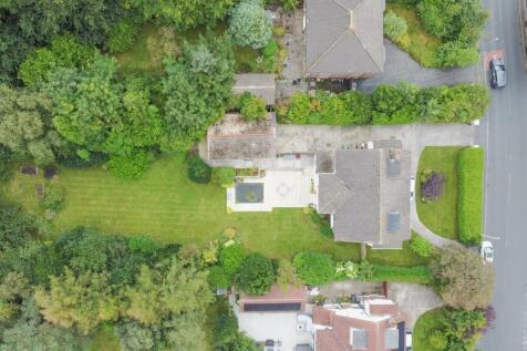 DJI_0873.jpg