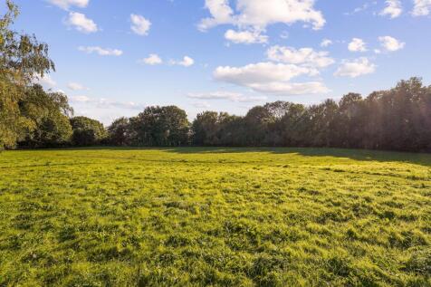Grounds