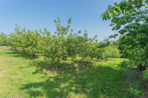 Property Image 46