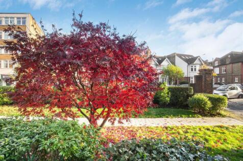 front garden.jpg