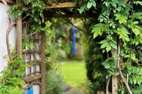 Pathway