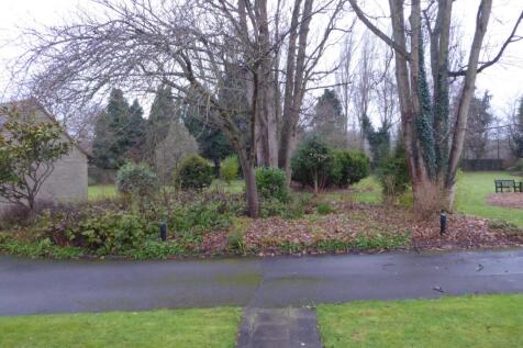 View from back door