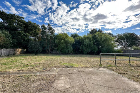 Rear Garden (2)