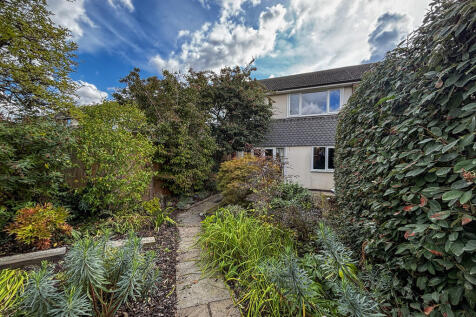 Garden 3